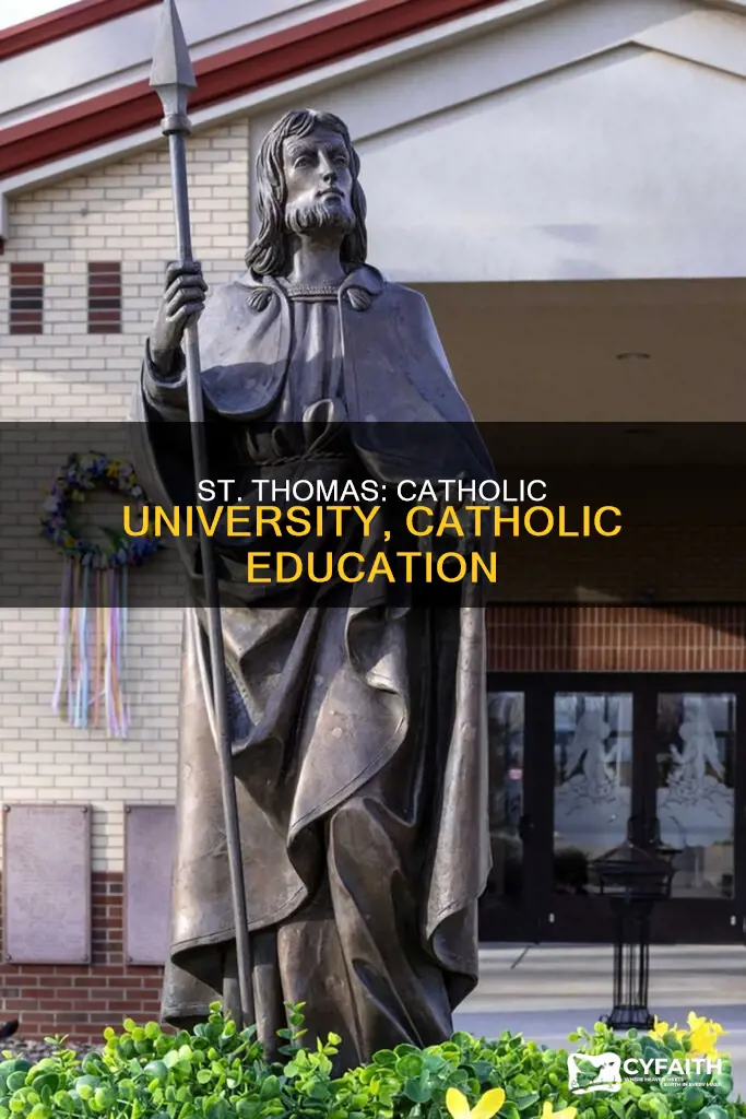 how catholic is university st thomas