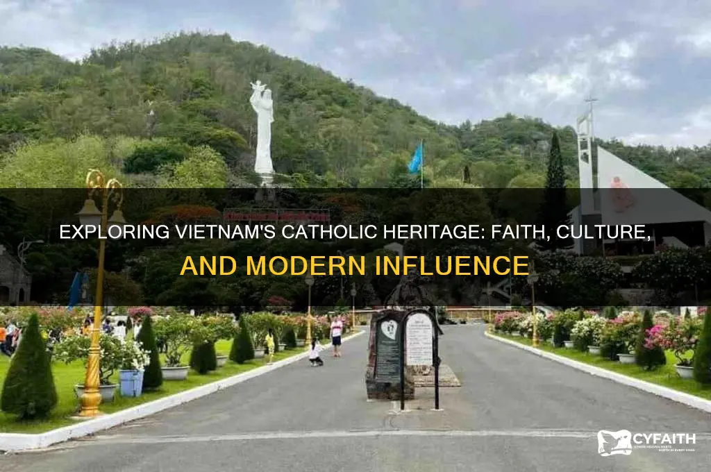 how catholic is vuetnam