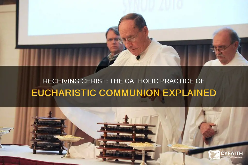how catholic receive jesus