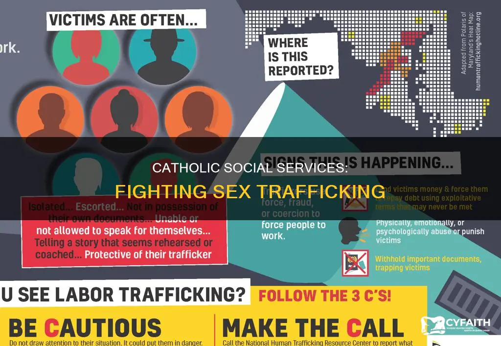 how catholic social services is helping sex trafficking