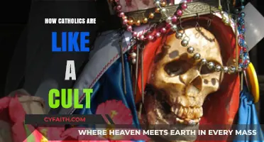 Catholics: A Cult in Disguise?