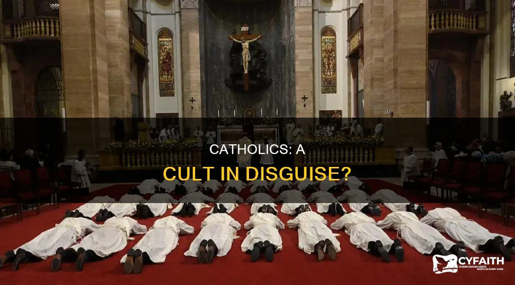 how catholics are like a cult