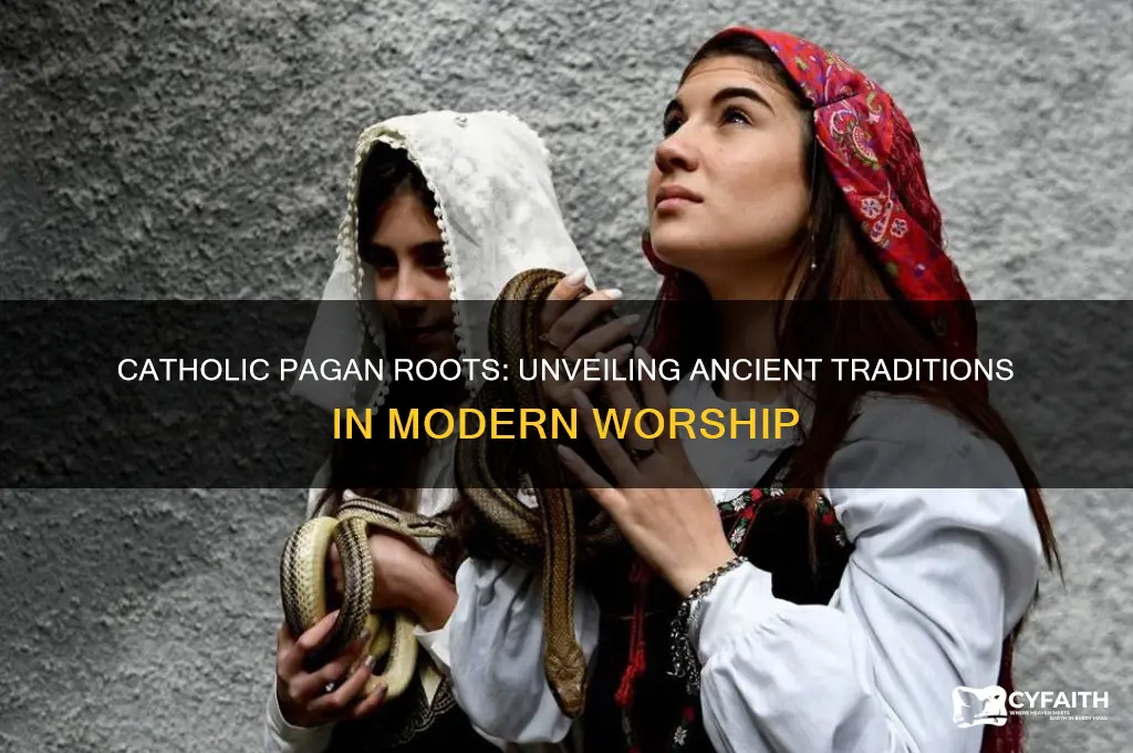 how catholics are pagan