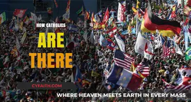 Exploring the Global Catholic Population: Numbers, Trends, and Insights