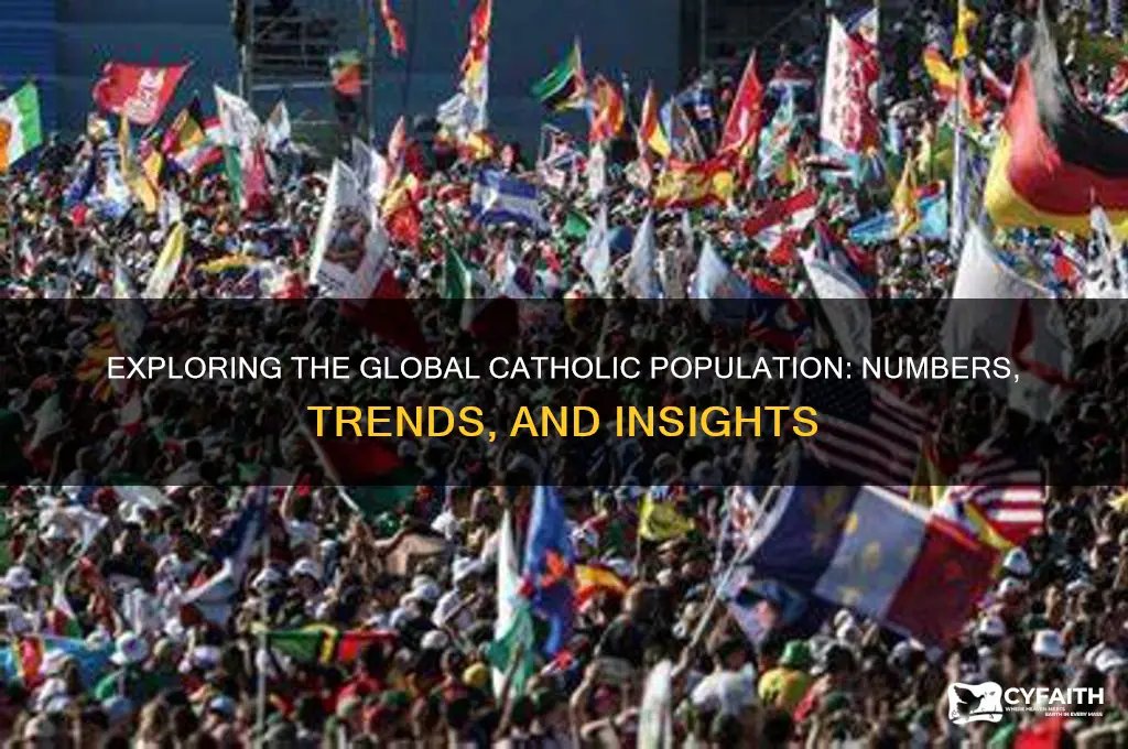 how catholics are there