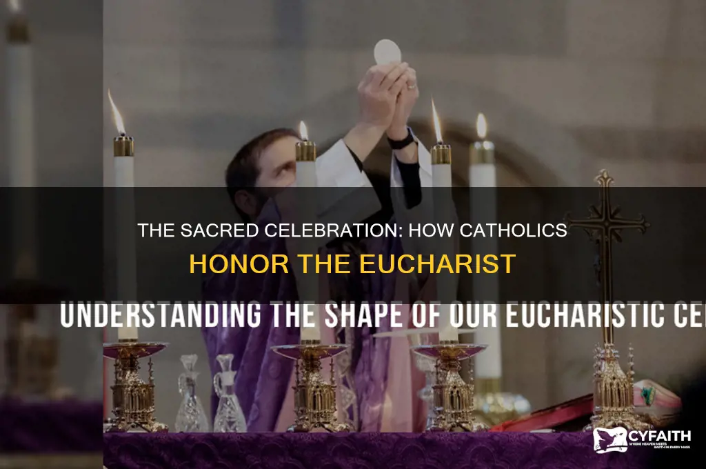how catholics celebrate the eucharist