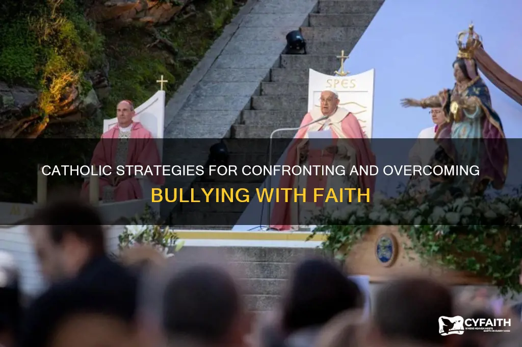 how catholics deal with bullies