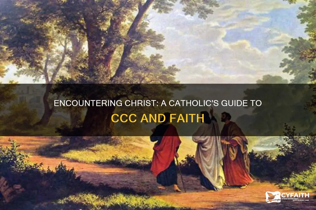 how catholics encoutner christ ccc