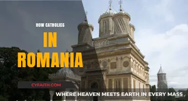 Romania's Catholic Community: Faith, History, and Modern Challenges Explored