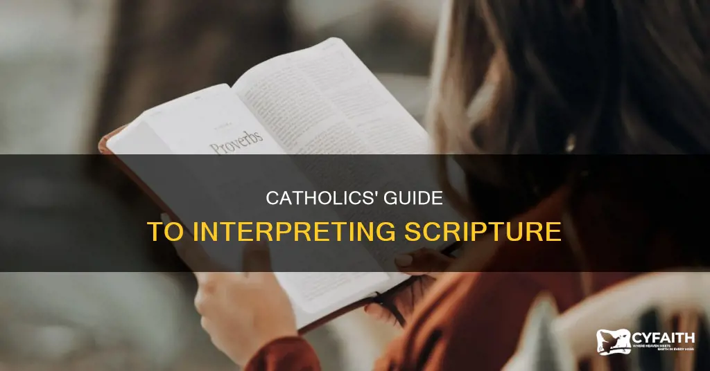 how catholics reading interpret th scripture