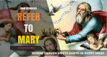 Understanding Mary's Titles: How Catholics Honor the Mother of God