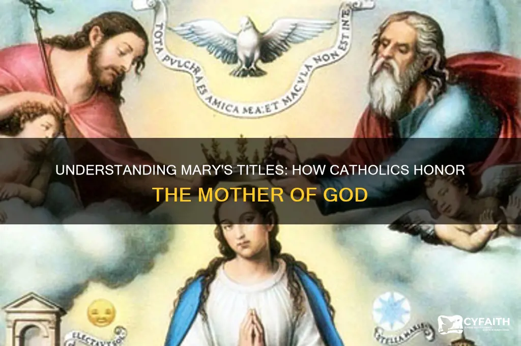 how catholics refer to mary