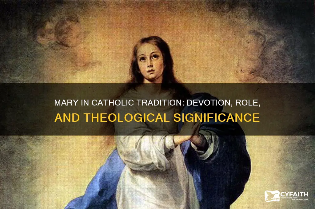 how catholics view mary