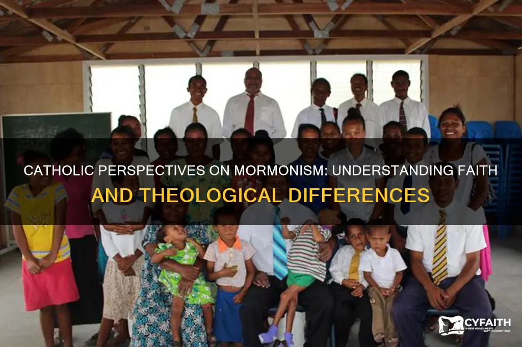 how catholics view mormons