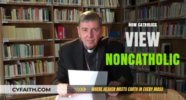 Catholic Perspectives: Understanding Non-Catholic Faiths and Relationships