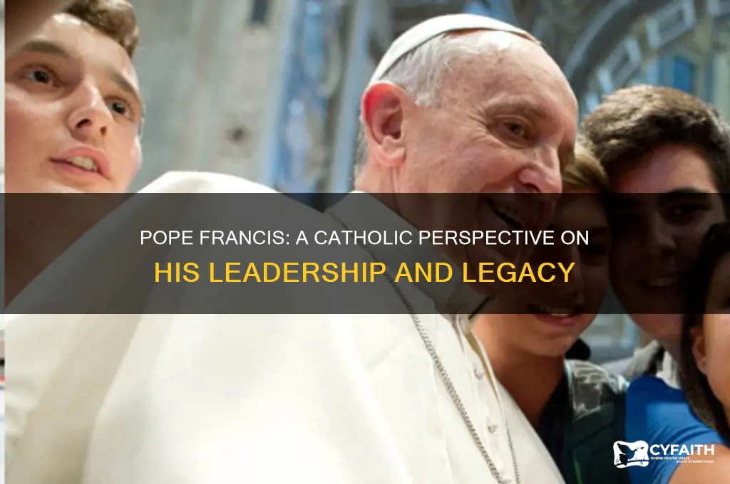 how catholics view pope francis