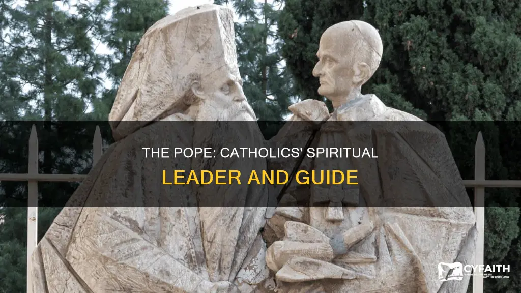 how catholics view the position of pope