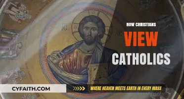 Understanding the Christian Perspective on Catholicism: Beliefs, Practices, and Unity