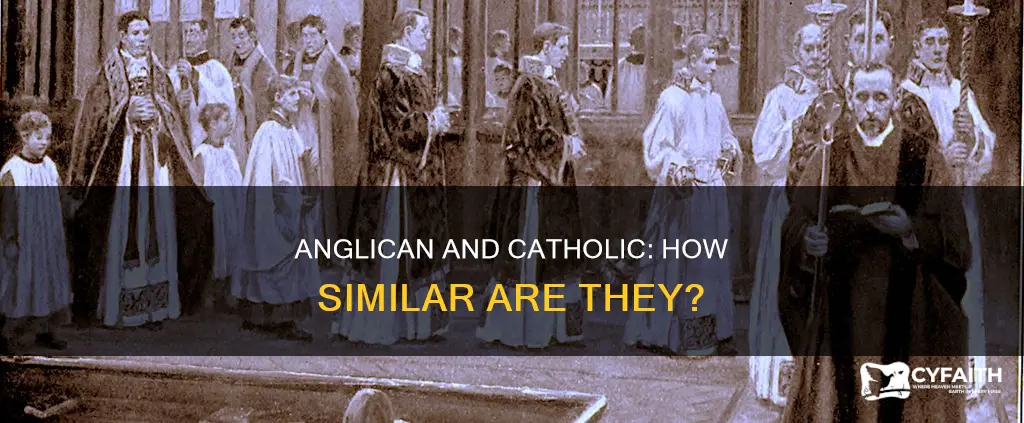 how close is anglican to catholic