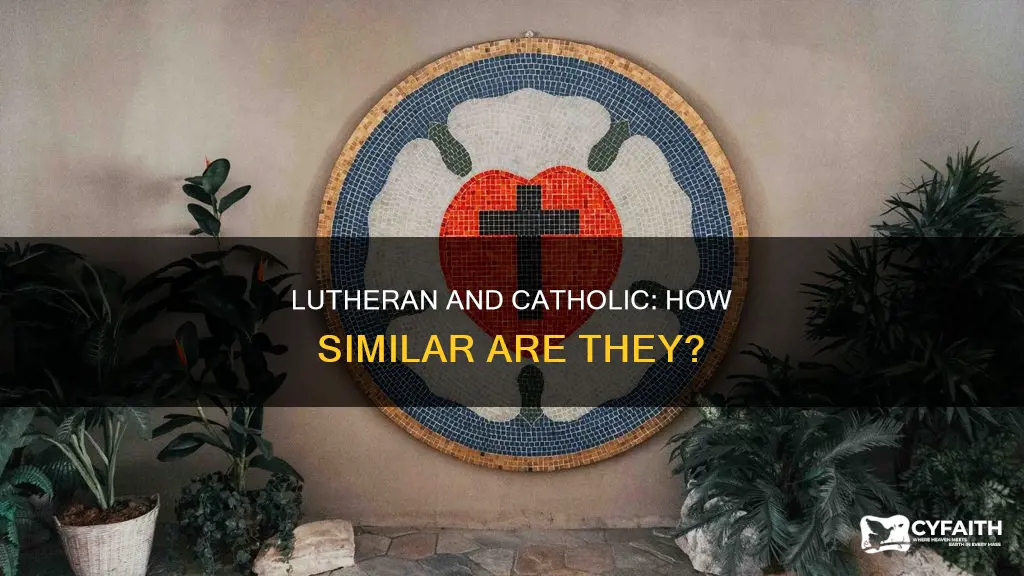 how close is lutheran to catholic