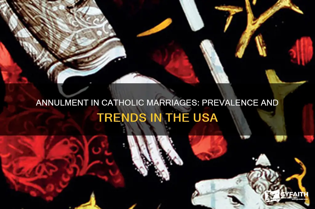 how common is annulment in catholic marriages in usa