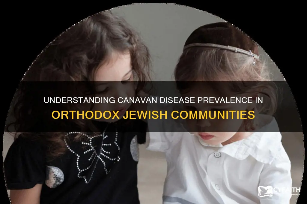 how common is canavan disease among orthodox jews