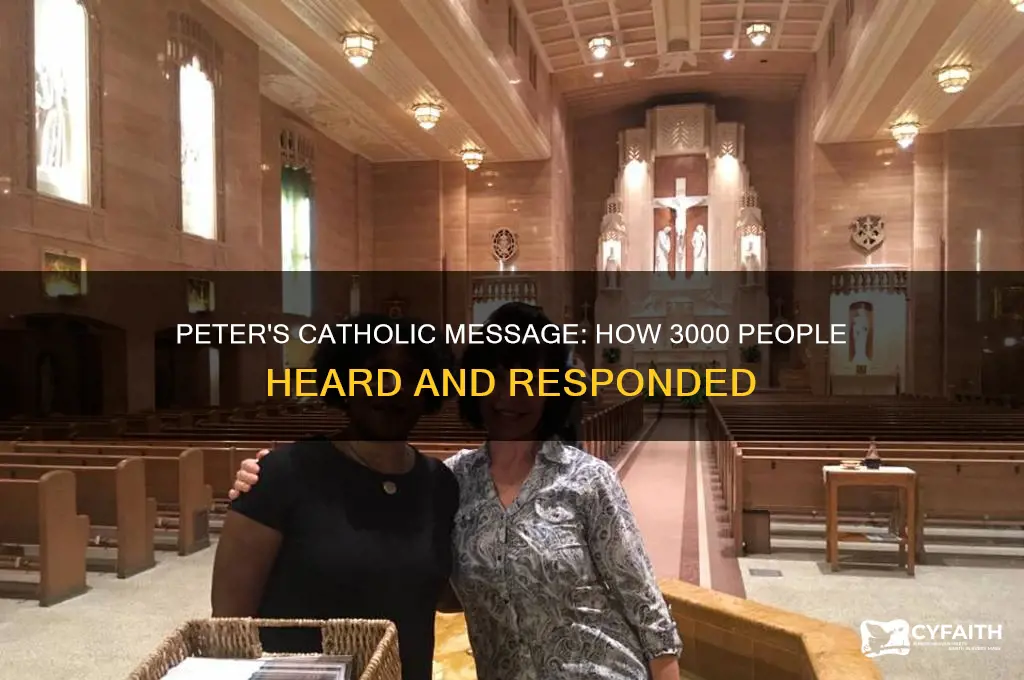 how did 3000 people hear what peter said catholic