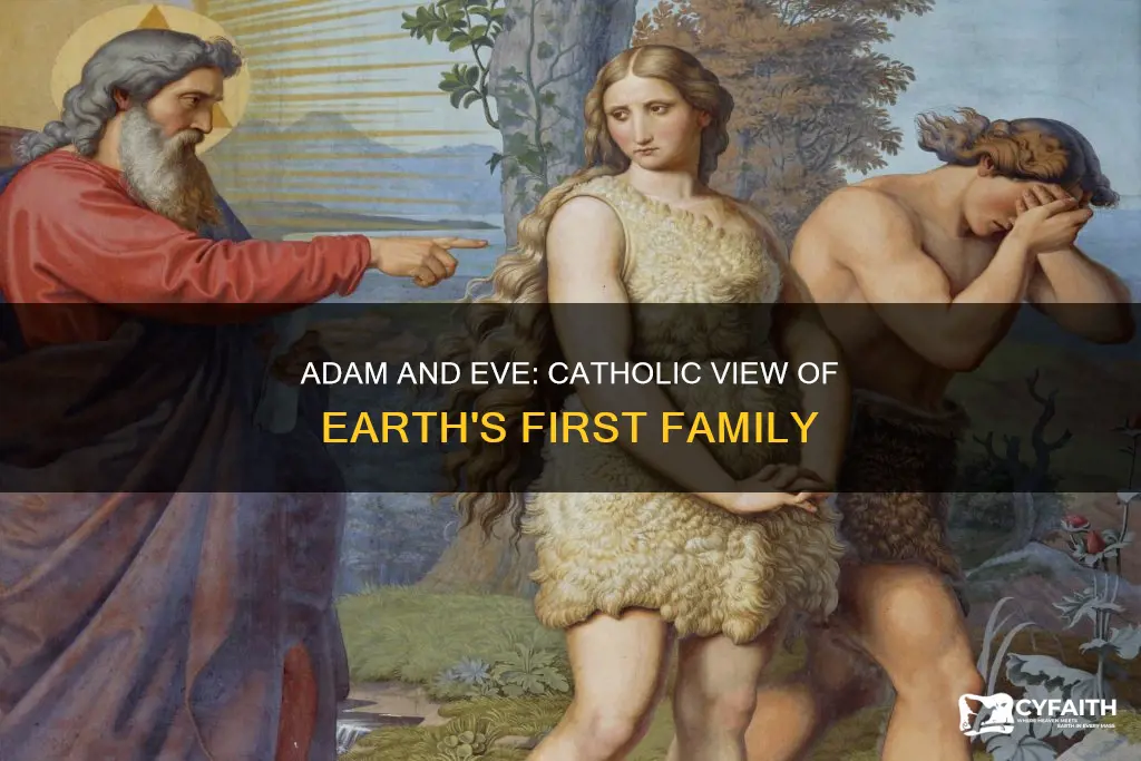how did adam and eve populate earth catholic