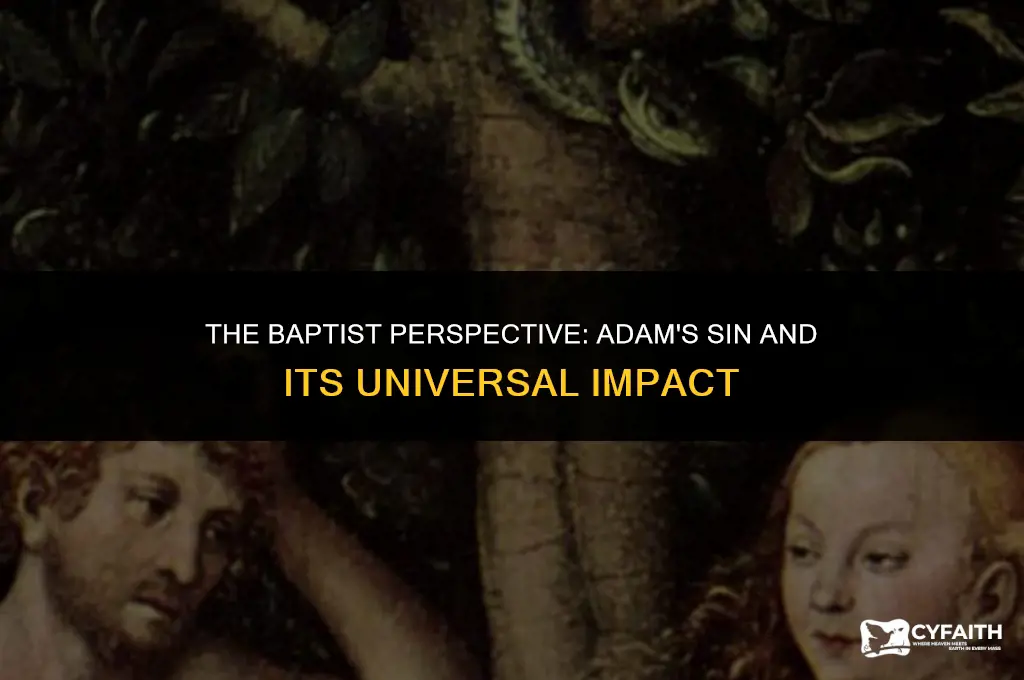 how did adam curse everyone with sin baptist