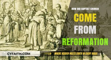 From Reformation to Revival: The Birth of the Baptist Church