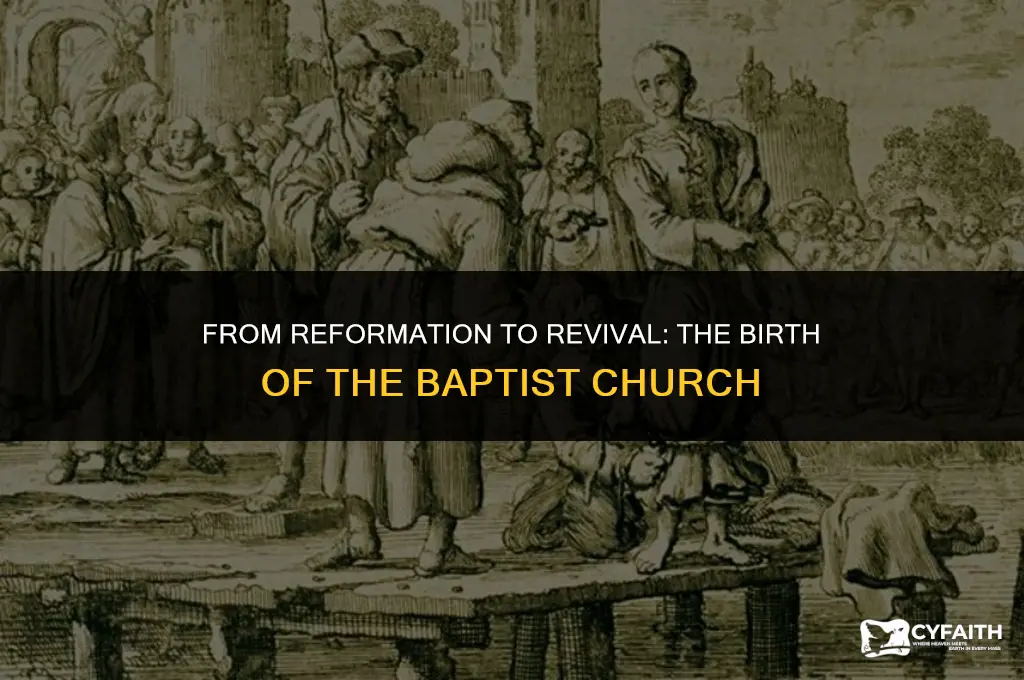 how did baptist church come from reformation