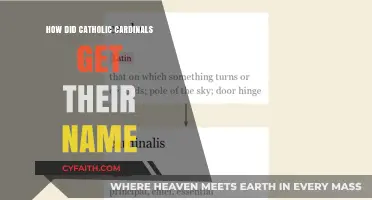 The Cardinals' Names: Catholic Tradition and History