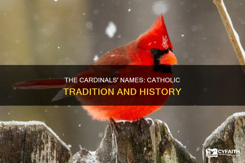 how did catholic cardinals get their name