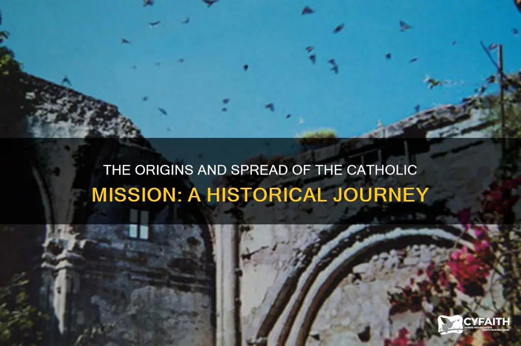 how did catholic mission start