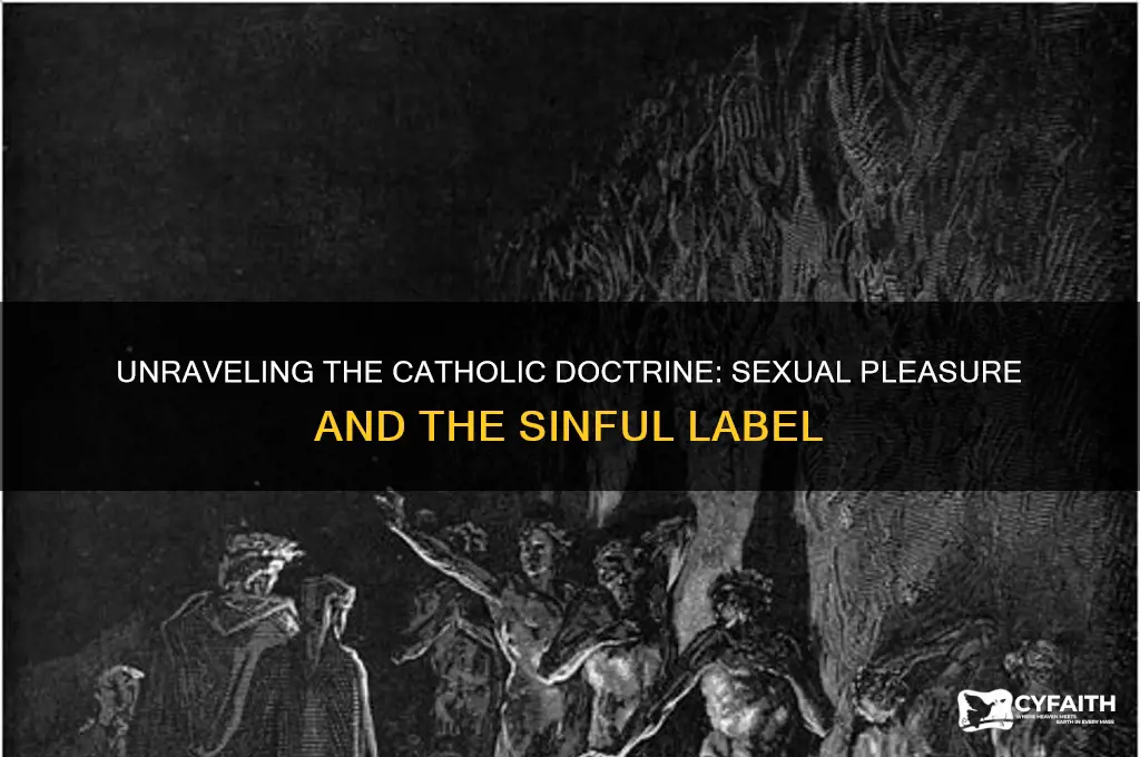 how did catholics determine that sexual pleasure was sin