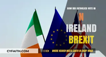 Brexit Vote: Northern Ireland's Catholics Say No