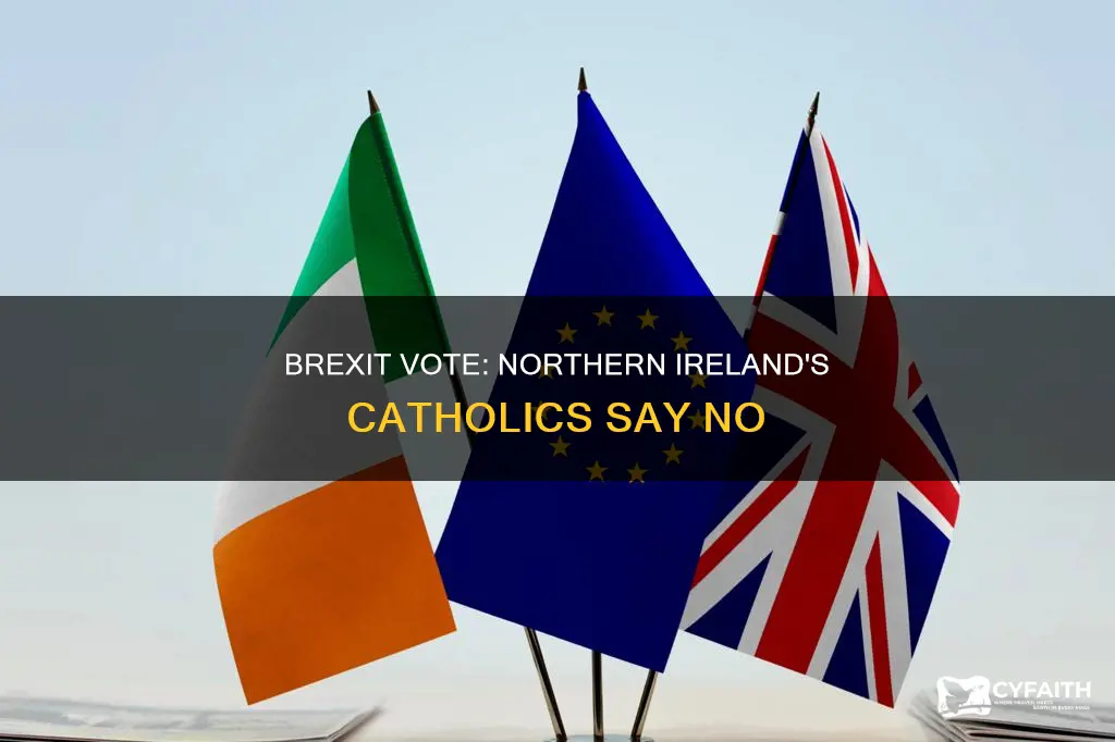 how did catholics vote in n ireland brexit