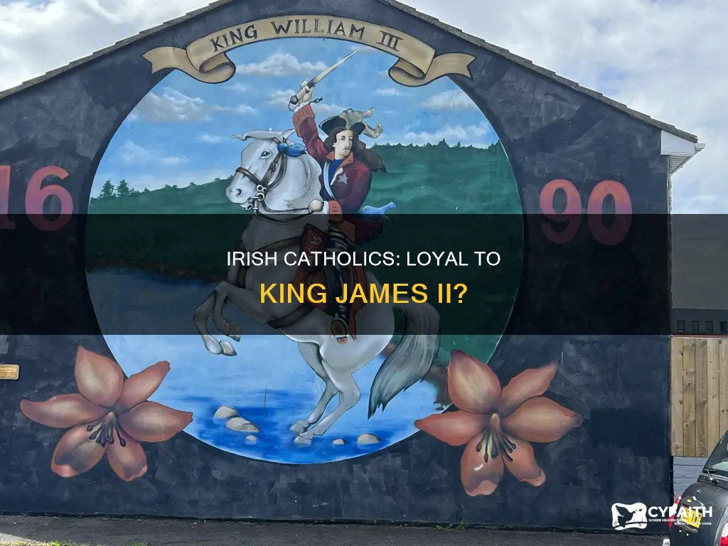 how did irish catholics view king james ii