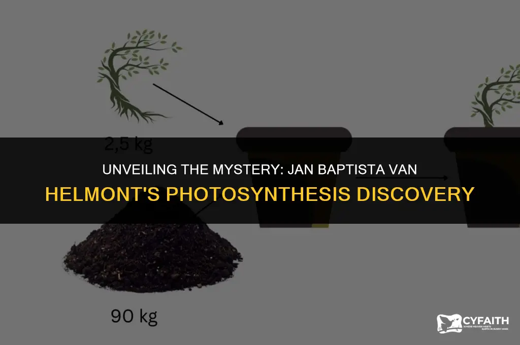 how did jan baptista van helmont discover photosynthesis