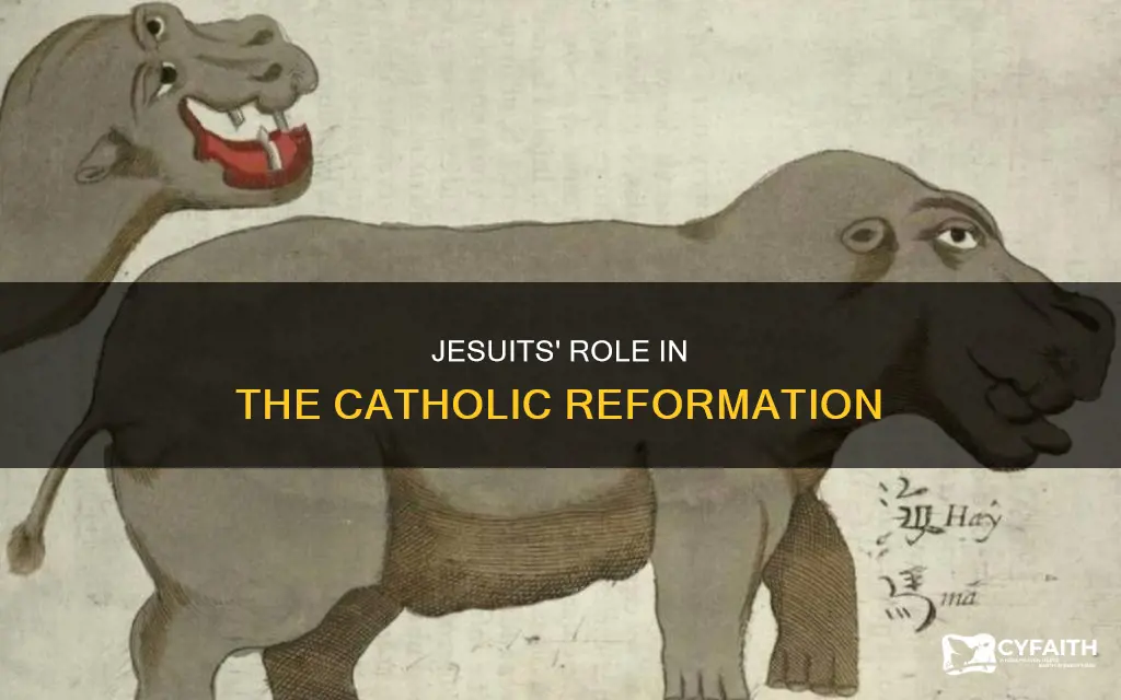 how did jesuits contribute to the catholic reformation