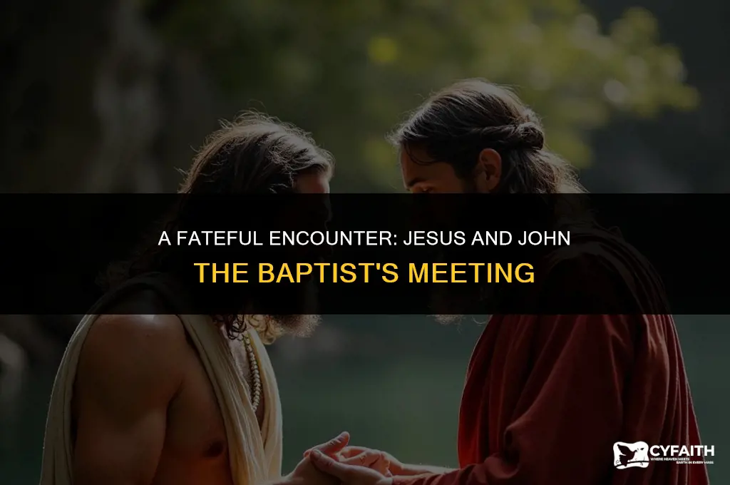 how did jesus and john the baptist meet