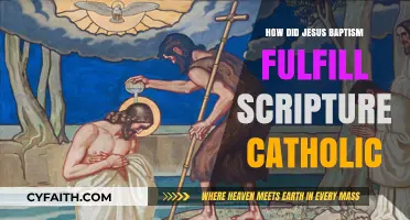 Jesus' Baptism: Fulfilling Scripture and Catholic Faith
