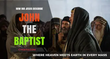 Jesus' Tribute to John the Baptist: A Prophet and More