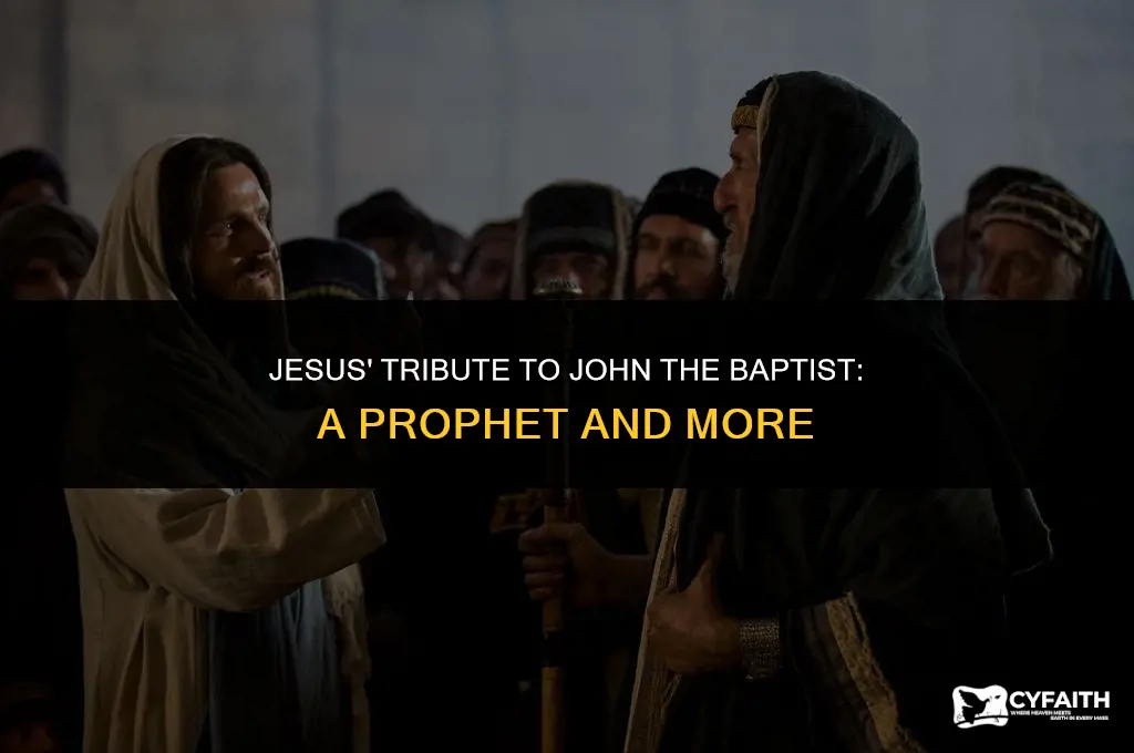 how did jesus describe john the baptist