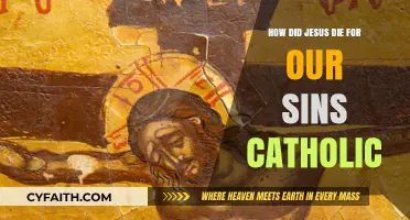 Jesus' Sacrifice: Understanding the Catholic Perspective
