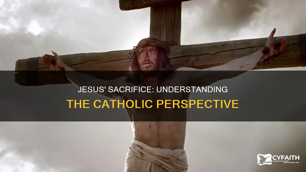 how did jesus die for our sins catholic