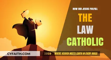 Jesus: Fulfilling the Law, Catholic Perspective