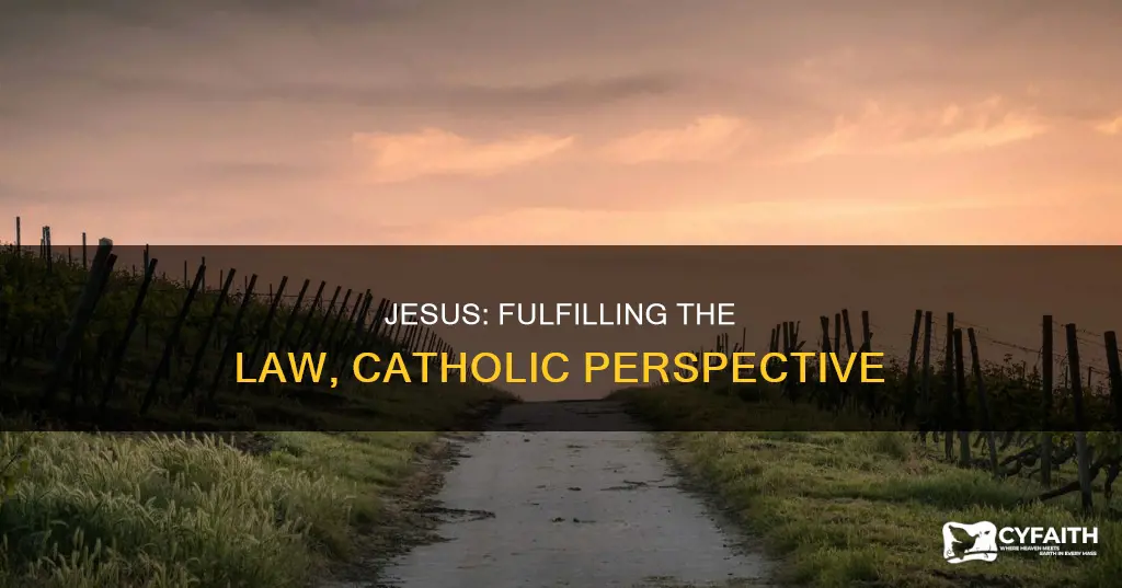 how did jesus fulfill the law catholic