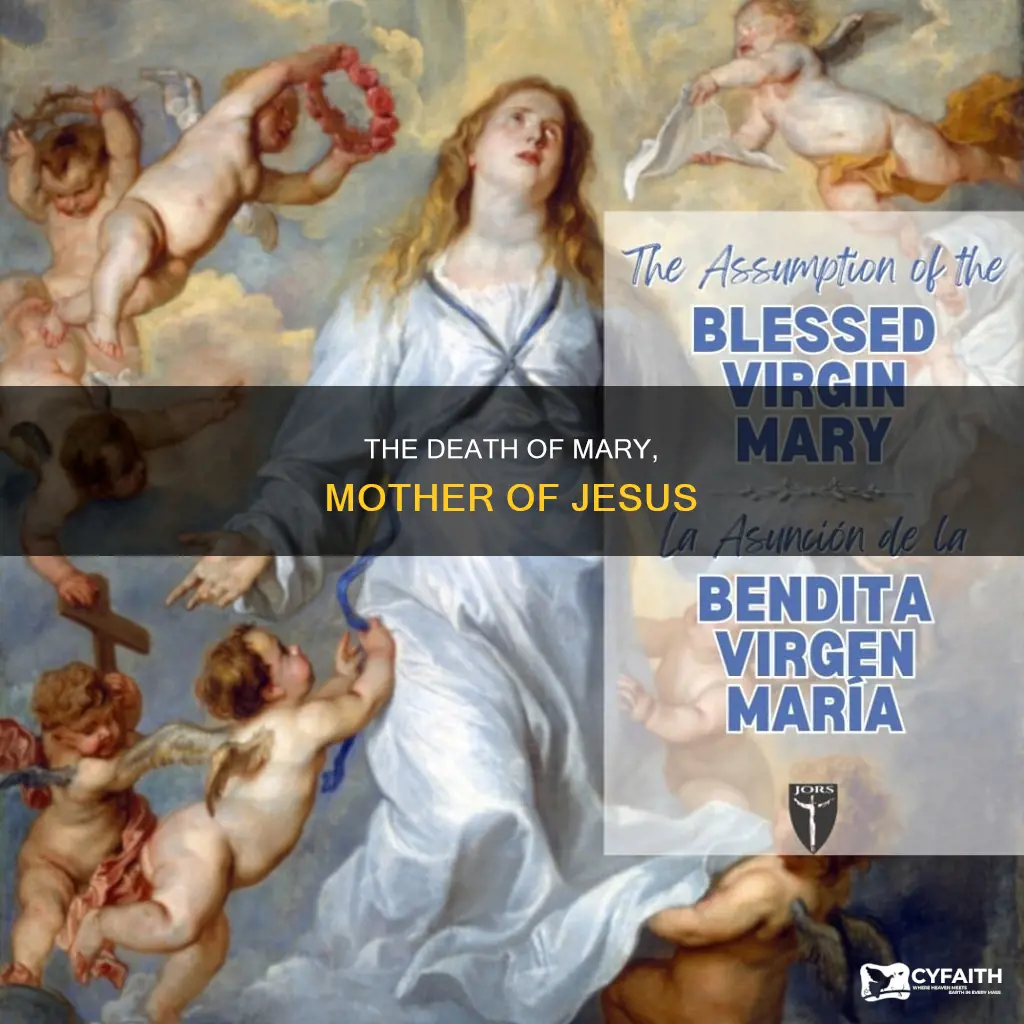 how did jesus mother mary die catholic