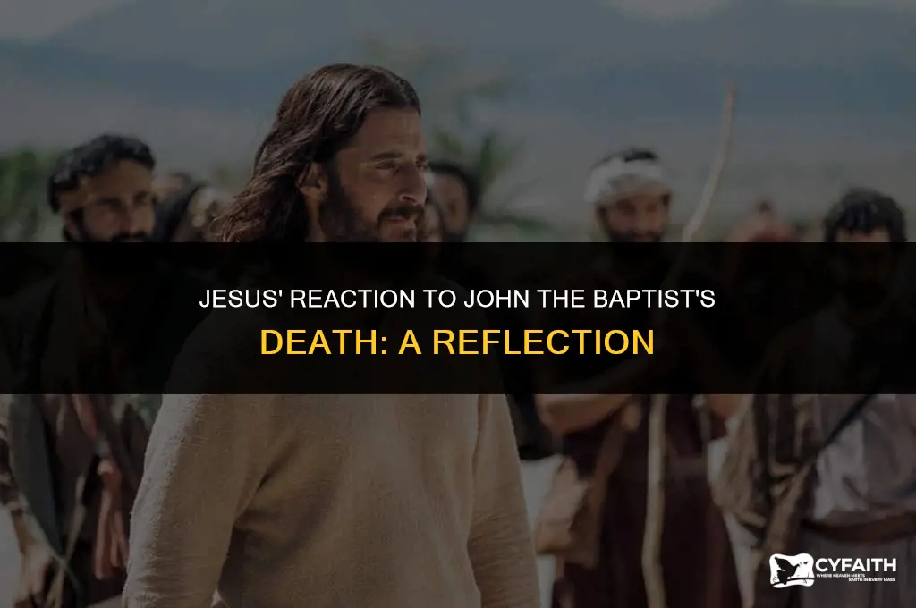 how did jesus respond to john the baptist